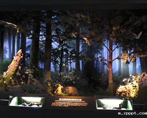 太原展台施工的项目进度控制